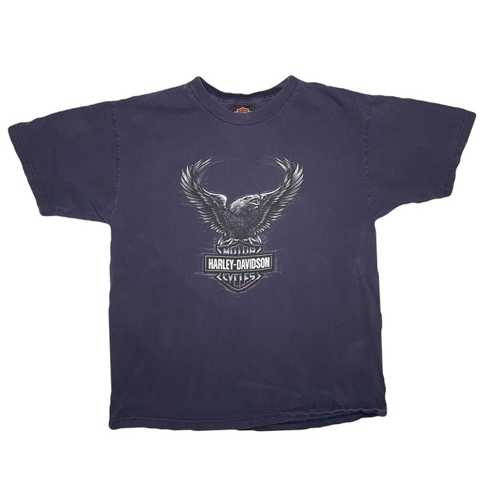 VINTAGE HARLEY ALASKA TEE